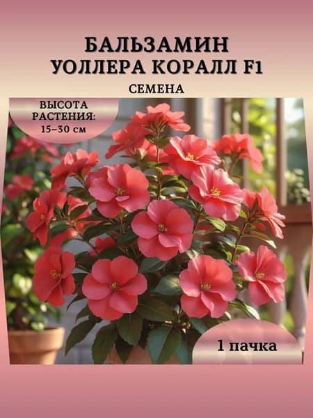 Семена Бальзамина Уоллера "Коралл F1", 10 семян