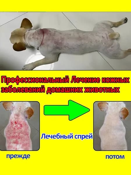 Спрей от зуда и лишая для кошек и собак 100 мл