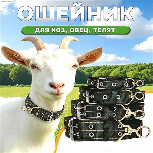 ошейник для коз,Усиленный нейлоновый ошейник,1шт
