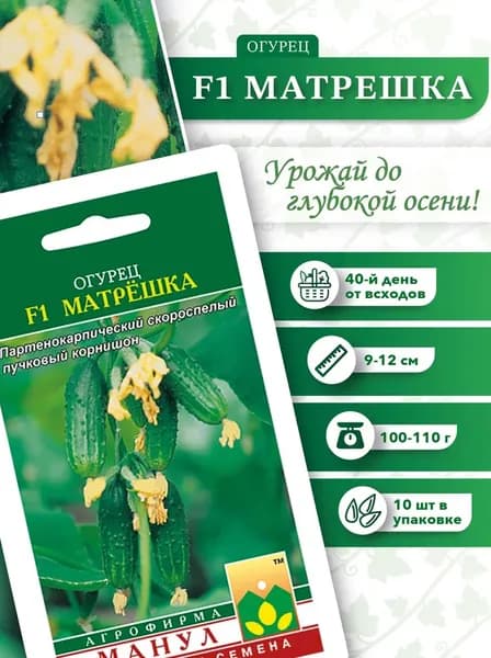 Семена Огурцы Самоопыляемые Матрешка, Манул, 10 шт