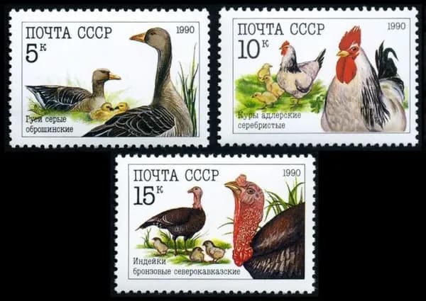 Почтовые марки СССР 1990 г. Фауна. Домашние птицы. Серия из 3 марок. MNH(**)