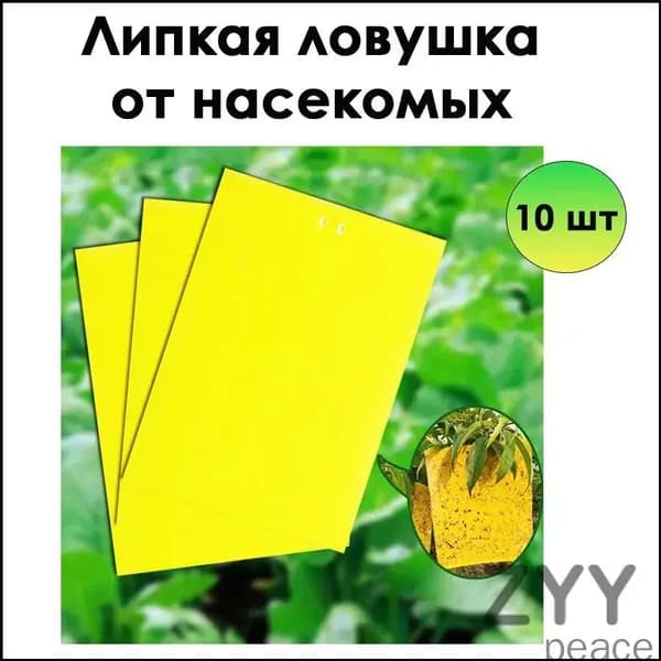 Ловушка для садовых вредителей