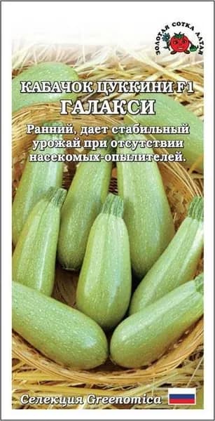Кабачок Галакси F1 Сотка 5шт цуккини куст. 300-350г светл. зелен.