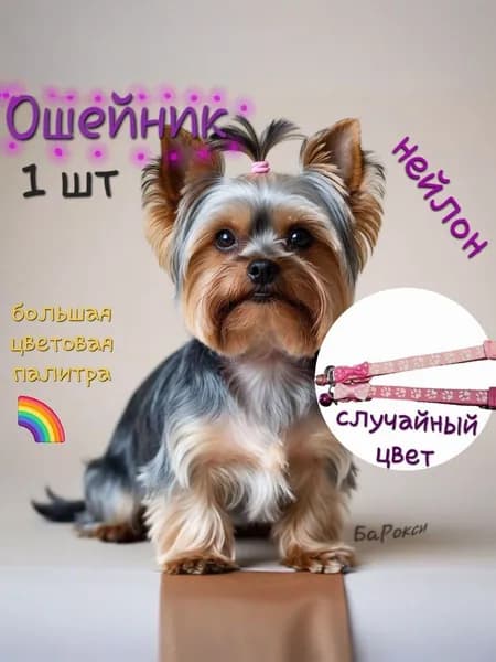 Ошейник для кошек и мелких пород собак с колокольчиком, светло-розовый/фуксия