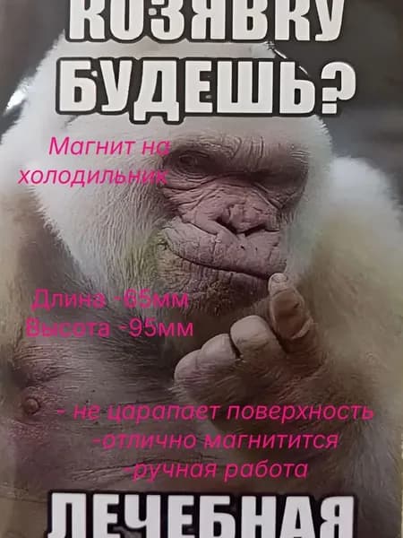 Магнит на холодильник. 65х95мм