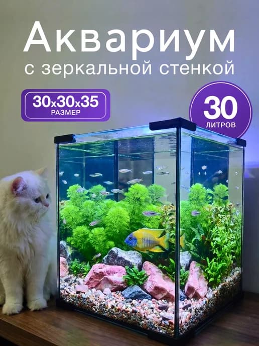 Аквариум 30 литров с зеркальной стенкой