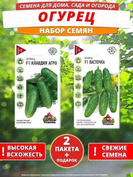 Семена огурец для дома сада посадки