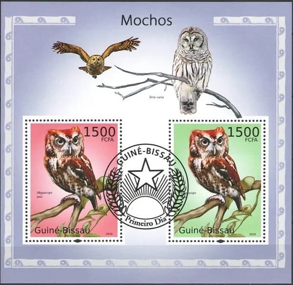 Гвинея-Бисау Гашеный блок марок "Совы" 2010г.
