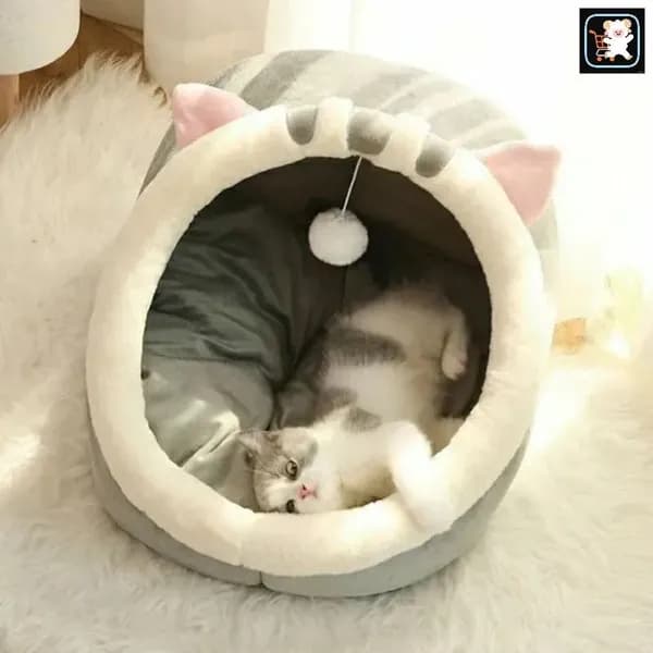 домик для кошки