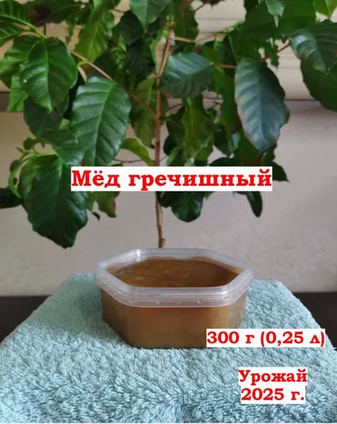 Мед натуральный гречишный, 300 г