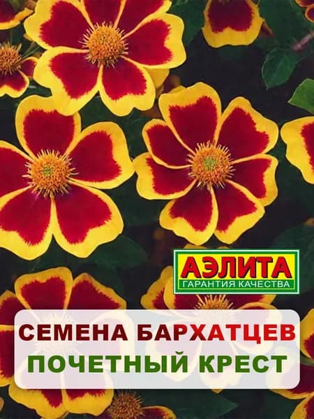 Семена Бархатцы отклоненные "Почетный крест" Тагетес 0,2 гр, однолетние цветы для дачи и сада, клумбы, в открытый грунт, на балкон, в контейнер.