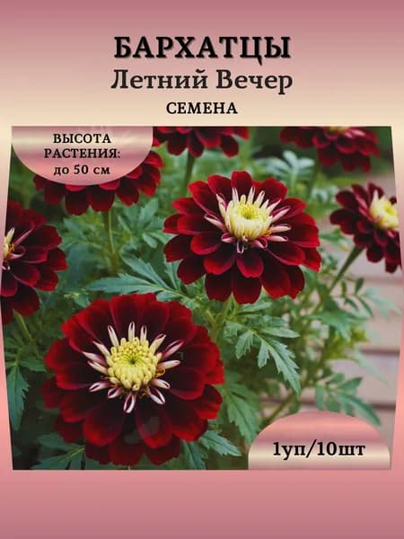 Бархатцы "Летний Вечер" семена, 1 пачка