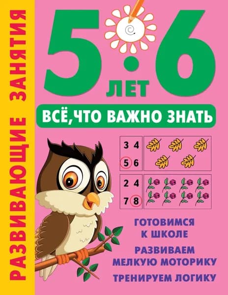 Развивающие занятия. Всё, что важно знать. 5-6 лет | Электронная книга