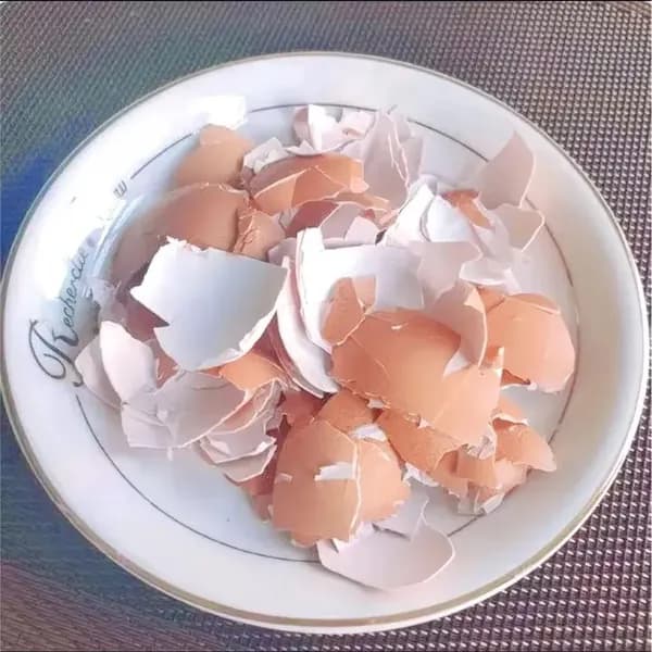 Удобрение