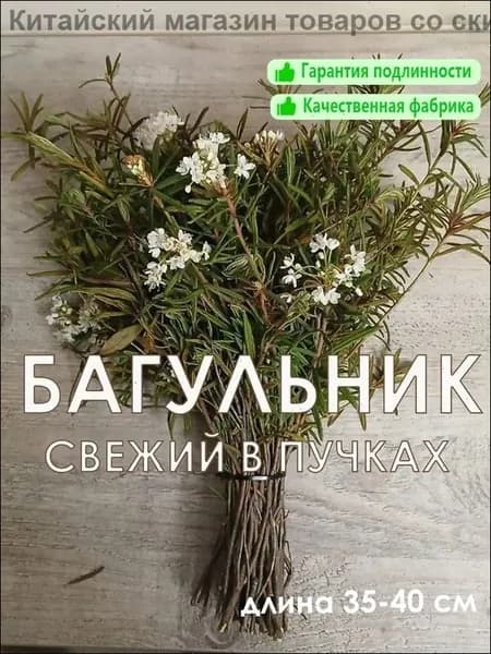 Веник для бани Из багульника, 1 шт.
