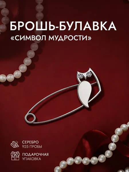 INCRUA/Брошь булавка из серебра 925 пробы, подарок ученикам/учителю на 1 сентября