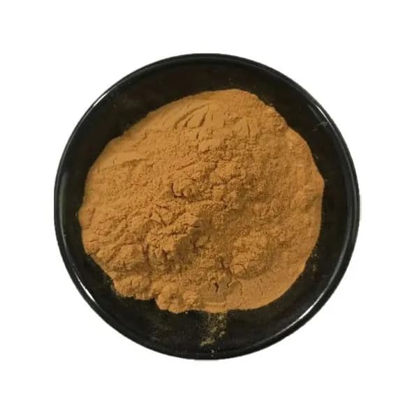 Экстракт флавоноида порошок 500g (90% полисахаридов) 20: 1 Иммунная система