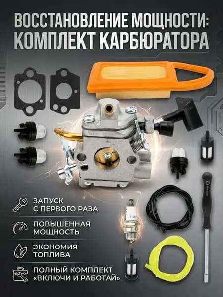 Карбюратор для воздуходувки Stihl BR500 550 600