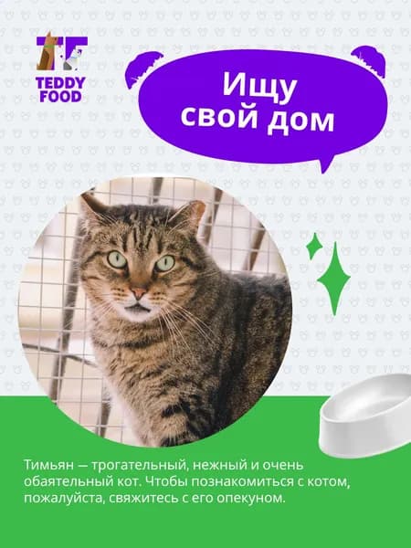 Помочь Тимьяну найти дом