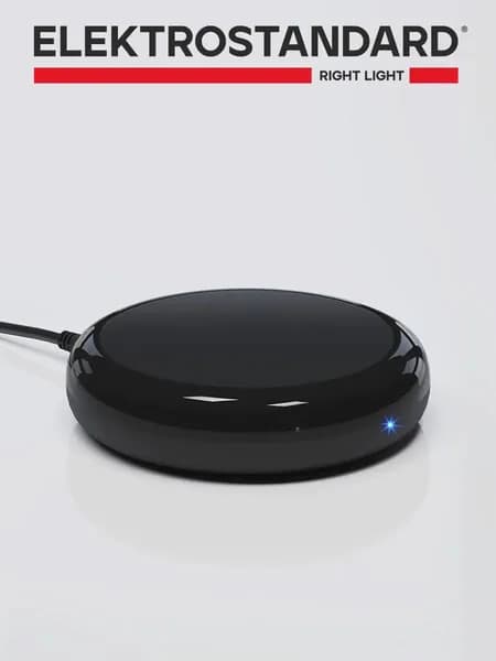 Умный инфракрасный пульт дистанционного управления с Алисой Elektrostandard RC004 Minimir Home