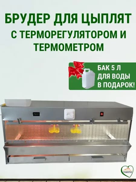 Брудер для цыплят с терморегулятором