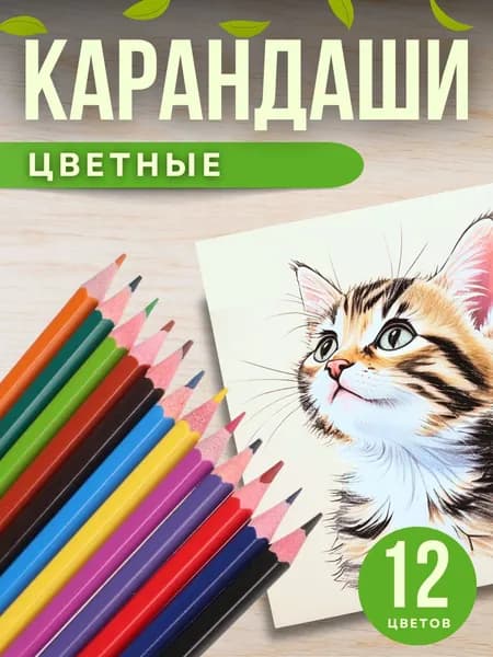 Карандаши цветные Набор для рисования Канцелярия для школы Школьные принадлежности 12 шт АРТ 228-012