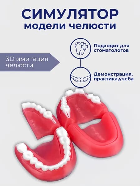 Хирургический тренажер для наложения швов Scalpel Med 3D симулятор челюсти человека, модель для обучения студентов медиков