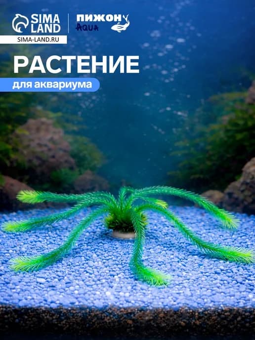 Зелёное растение для аквариума, высота до 35 см