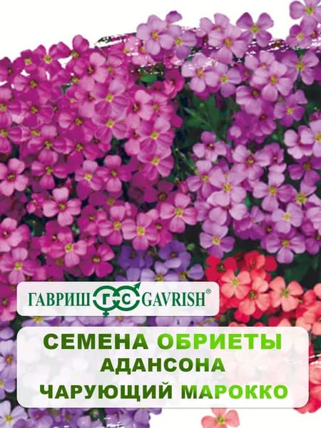 Семена Обриеты Адансона "Чарующий Марокко" крупноцветковая 0,05 гр.