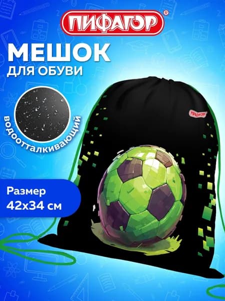 Мешок для обуви, сумка для сменки в школу, чехол детский плотный, 42х34 см, 1 отделение, Пифагор Offline