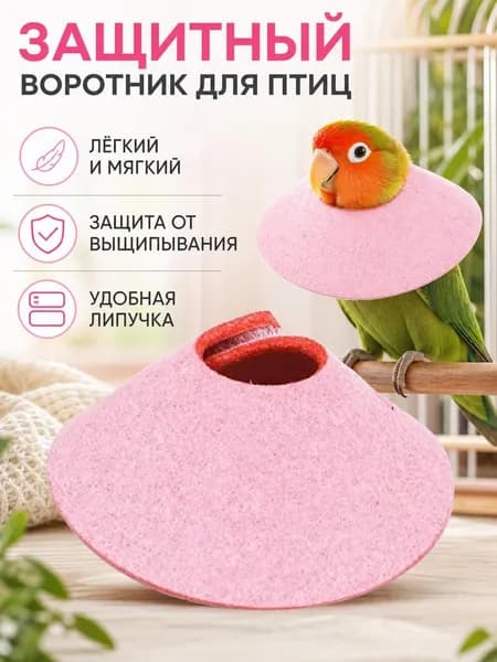 Защитный ошейник от укуса птицы