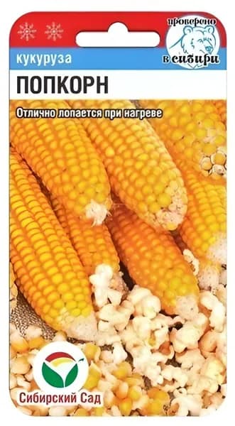 Кукуруза Попкорн 10шт (Сиб сад)