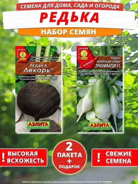 Семена редька для дома сада посадки