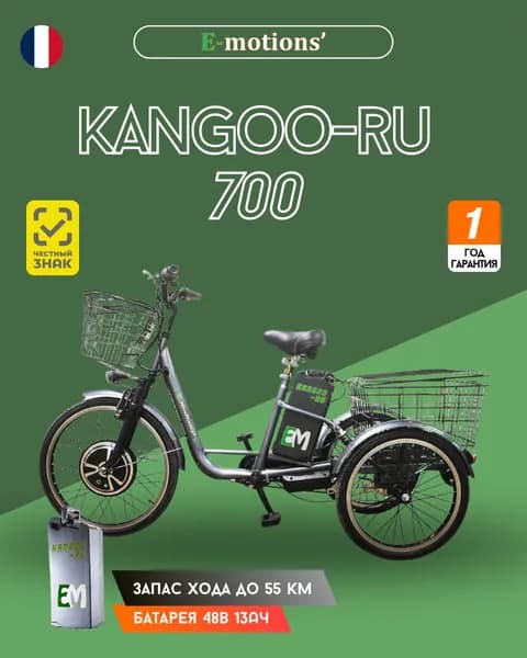 E-motions' Электровелосипед 2026, 700 Вт