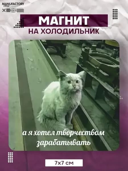 Магнит на холодильник хотел зарабатывать творчеством