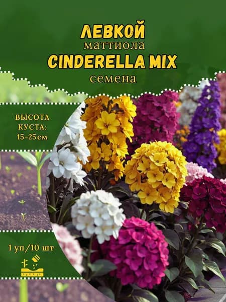 Левкой (Маттиола) "Cinderella Mix, смесь" семена, 1 пачка