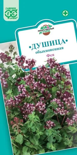 Душица Фея (орегано)