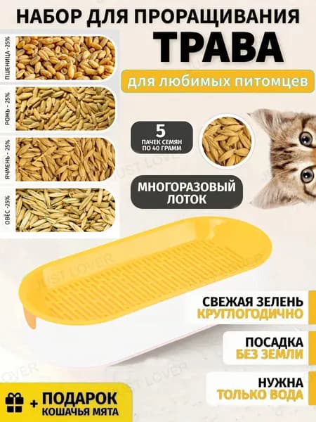 Миска для животных оранжевый