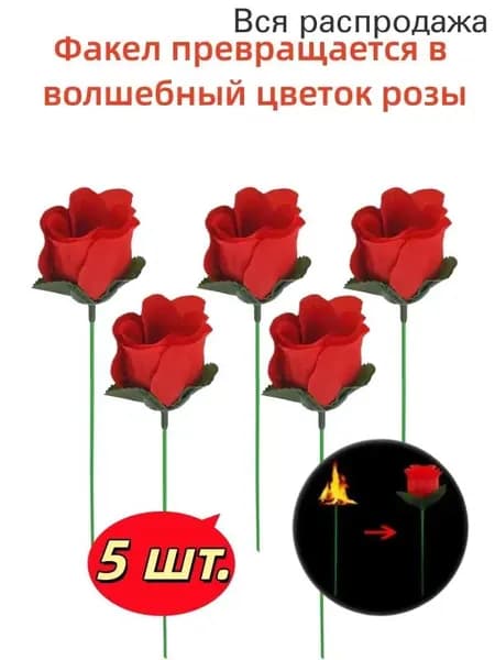 Факел превращается в волшебный цветок розы.Цвет: Красная роза, 5 шт.