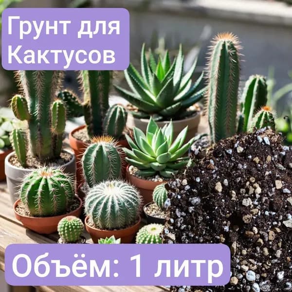 Авторский грунт для Кактусов 1 литр