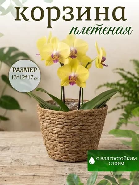 Корзина плетеная декоративная из камыша