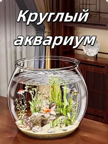 Круглый аквариум Прозрачный