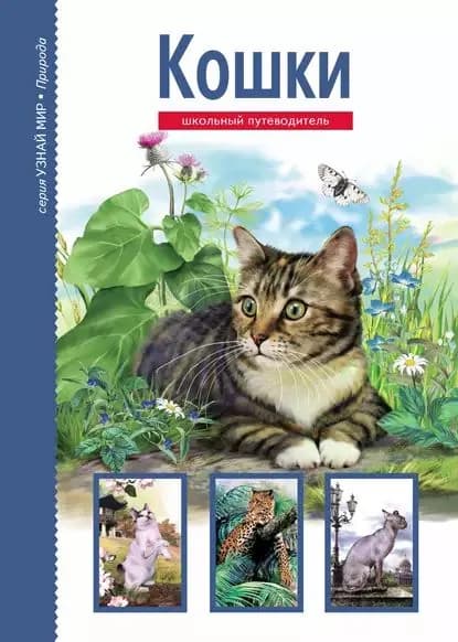 Кошки | Афонькин Сергей Юрьевич | Электронная книга