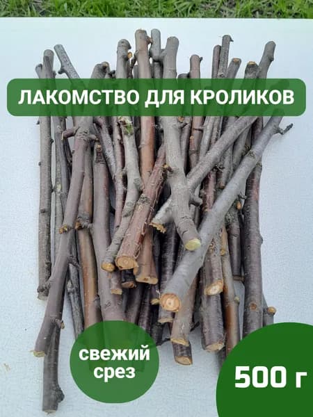 Лакомство для кроликов.Веточки фруктовых деревьев.