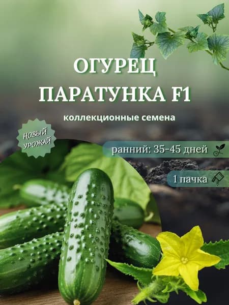 Огурец Паратунка F1, 10 семян в 1 пачке