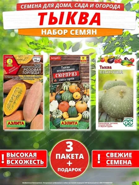 Семена тыква для дома сада посадки
