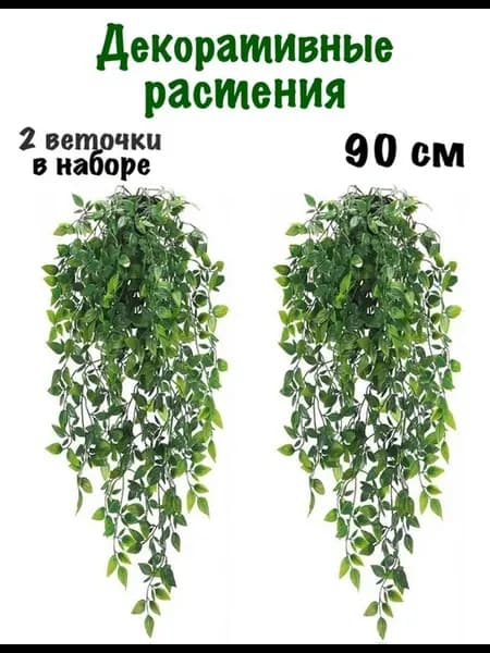 Папоротник лиана растение на стену для декора интерьера