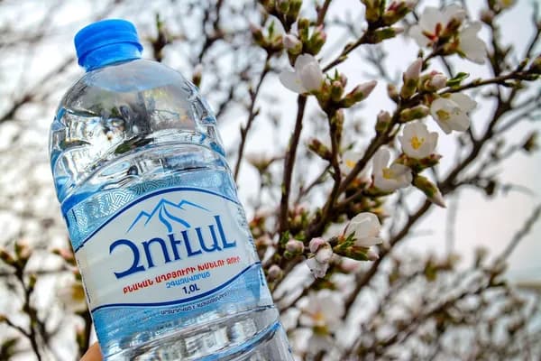 Zulal Вода Питьевая Негазированная 1000мл. 7шт