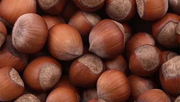 Фундук неочищенный 500гр "Nuts Market"