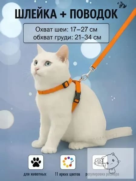 Шлейка с поводком для кошек,котов, котят,собак мелких пород, щенков и кролика,прогулочная регулируемая цвет оранжевый